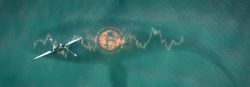 Bitcoin regaining strength after whale attack
